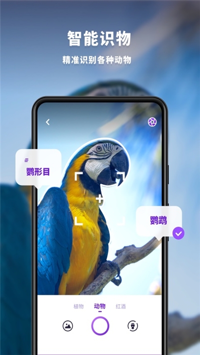 趣扫(拍照识别)最新免费版图3