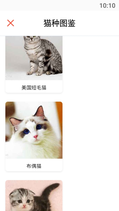 猫语翻译助手安卓版图3