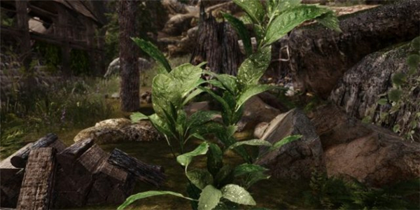 《上古卷轴5》3D风景Mod演示：极致逼真的树木与花卉模型呈现
