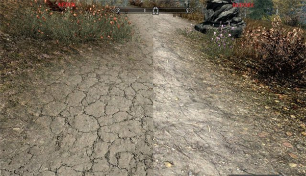 《上古卷轴5》高清材质大修MOD额外添加10GB超清4K材质资源