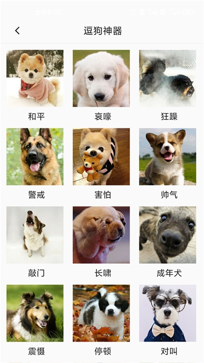 狗狗狗语翻译器安卓版图3