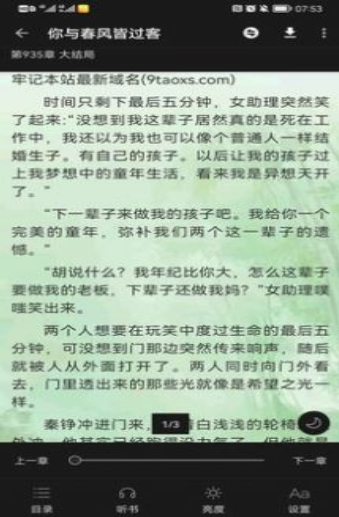 极光小说