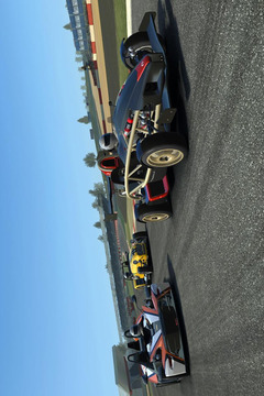 真实赛车3(5)