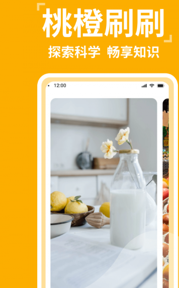 桃橙刷刷手机版图1