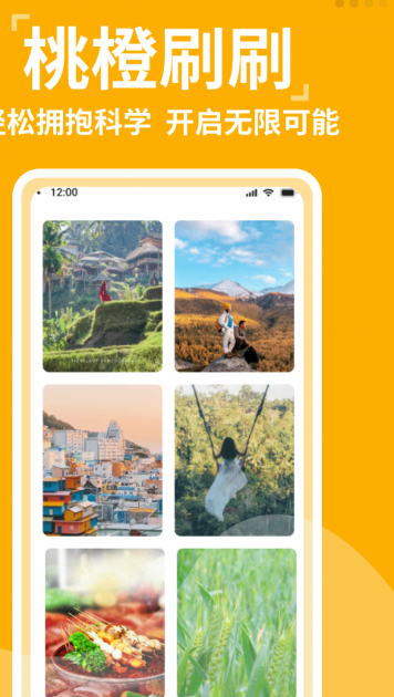 桃橙刷刷手机版图3