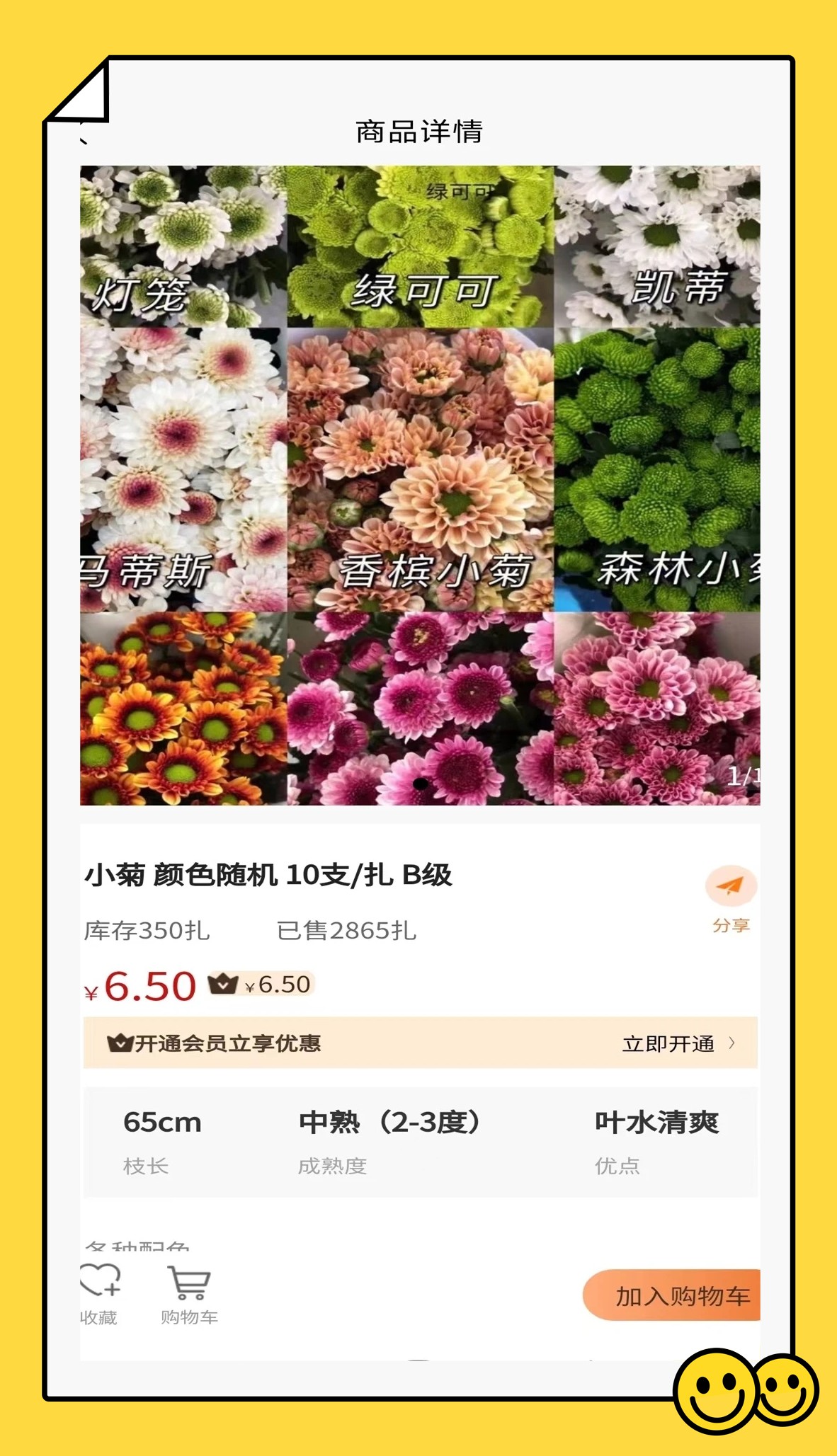 卖花人手机正版图2