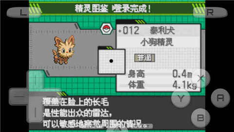 口袋妖怪白(3)