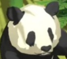 古镇物语