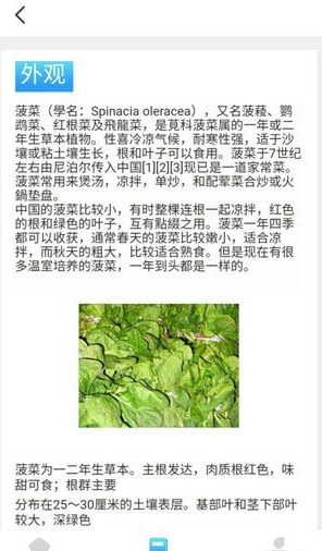 口袋菜农