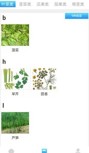 口袋菜农