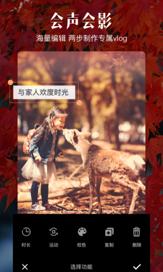 爱剪辑原版图4