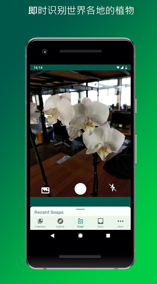 PlantSnap(PlantSnap植物识别)手机版图1