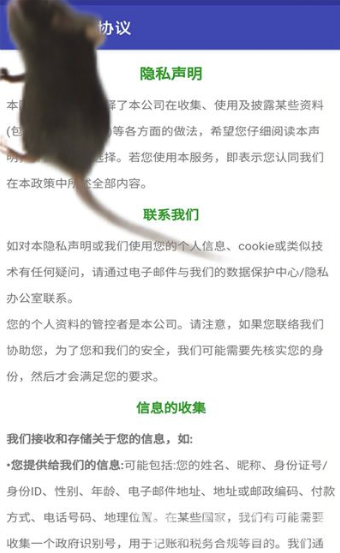 可爱的小老鼠(逼真恶搞老鼠)免费版图3