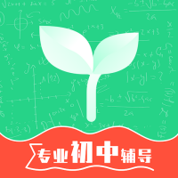 初中学习脑力训练直装版