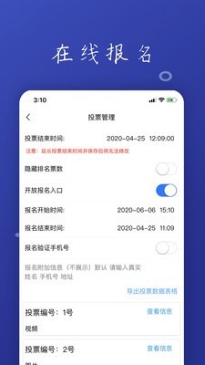 投票活动评选免费原版图1
