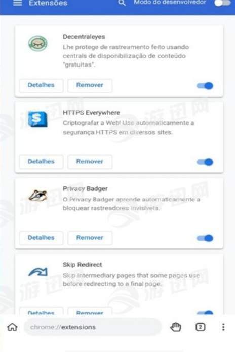 Kiwi Browser正版图3