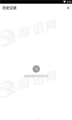Kiwi Browser正版图2