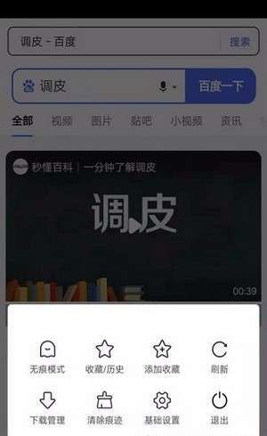 灵猫浏览器免费版图2