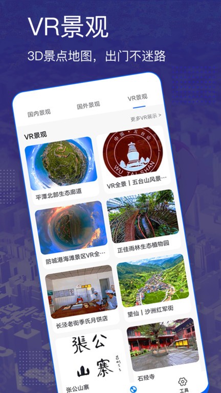 三维卫星地图(2)