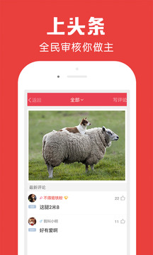 百思不得姐图5