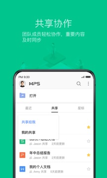 WPS Office (3)