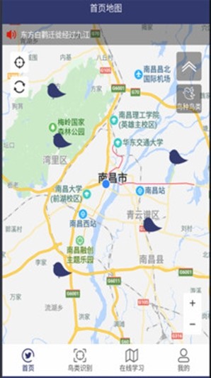 图音识鸟无广告版图2