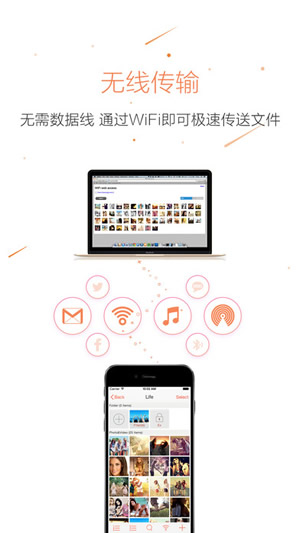 猫咪最新版图2