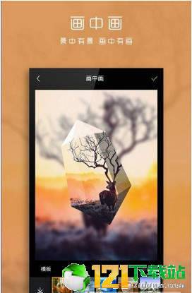 理想相册安卓版图2