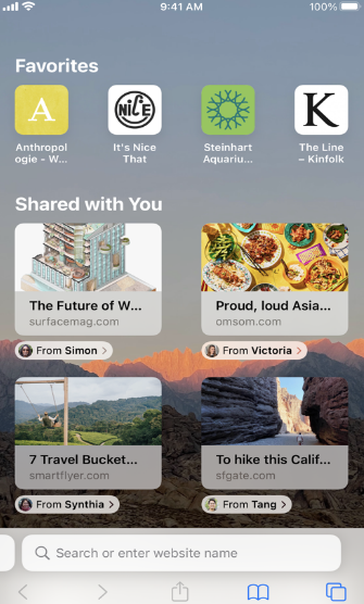 safari图2