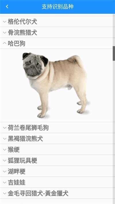 哈狗识别最新版