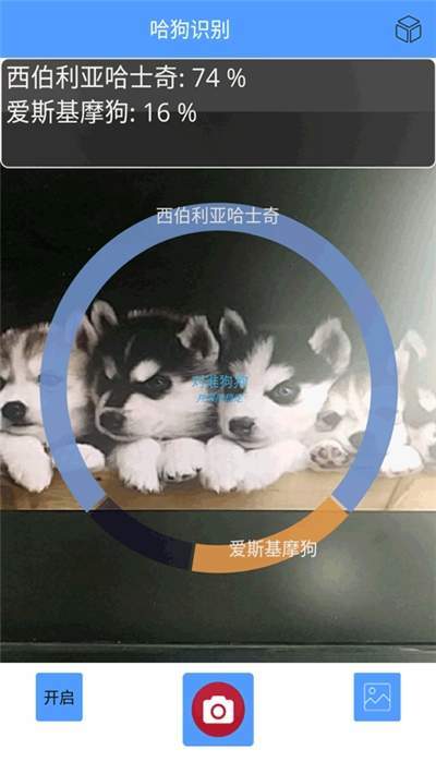 哈狗识别最新版
