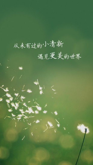 QQ影像官方最新版