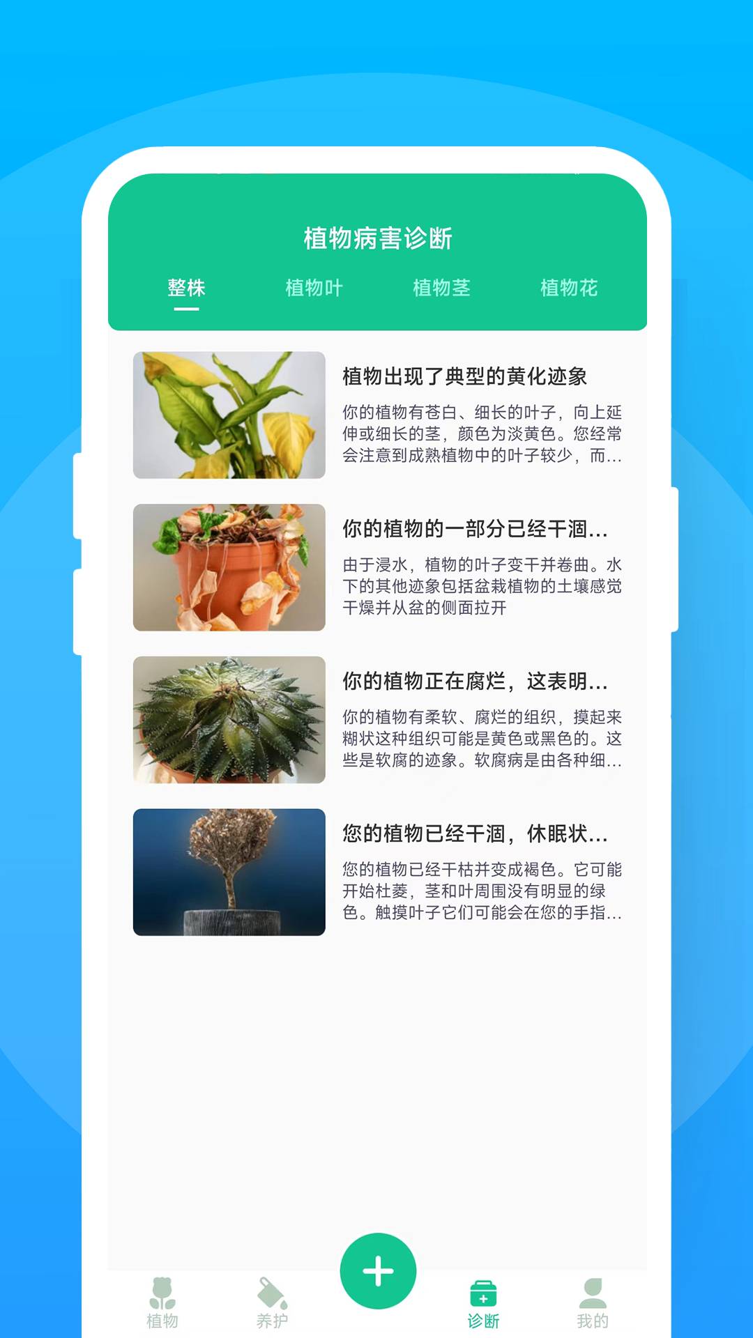 暖暖花花官方正版图1