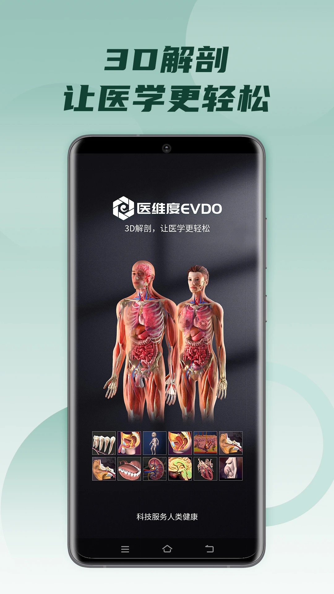医维度解剖老版图3