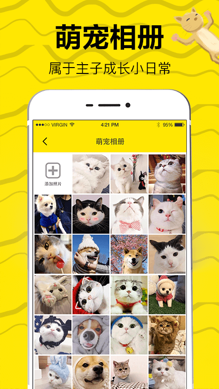 猫狗翻译直装版图2