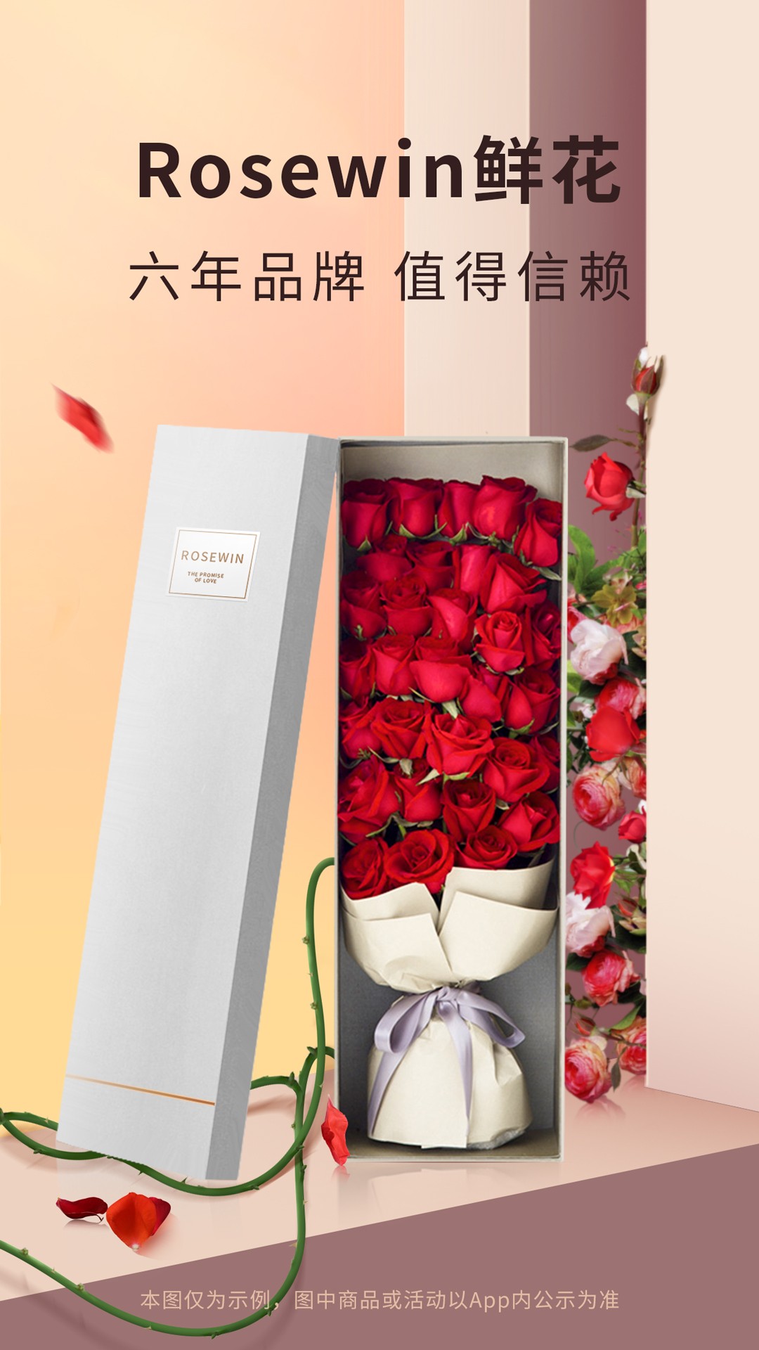 Rosewin鲜花图5