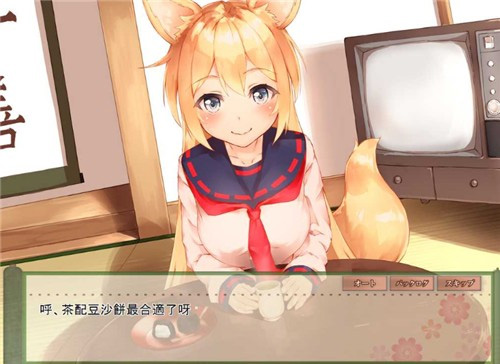 我与空狐的日常通用版图3