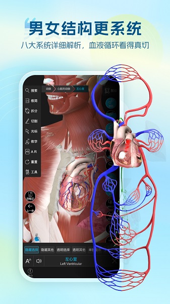 维萨里3D解剖正版图1