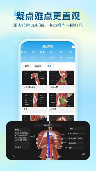 维萨里3D解剖正版图4