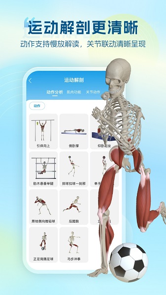 维萨里3D解剖正版图2