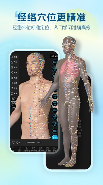 维萨里3D解剖正版图5