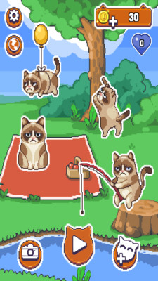不爽的猫图3