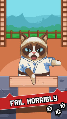 不爽的猫图5