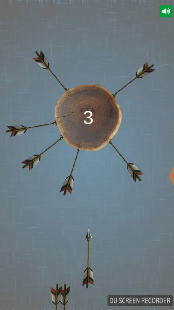 射箭大师5