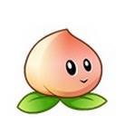 植物大战僵尸中文版 V1.6