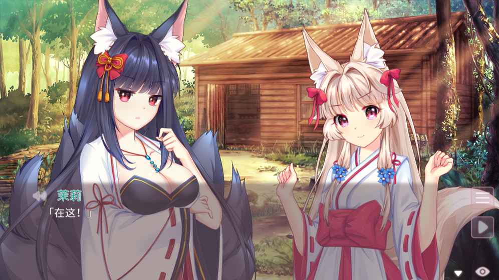 FoxHimeZero(4)