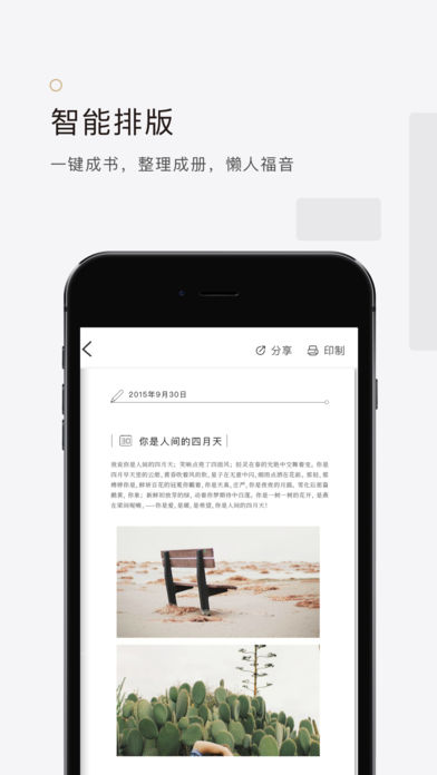 拾柒