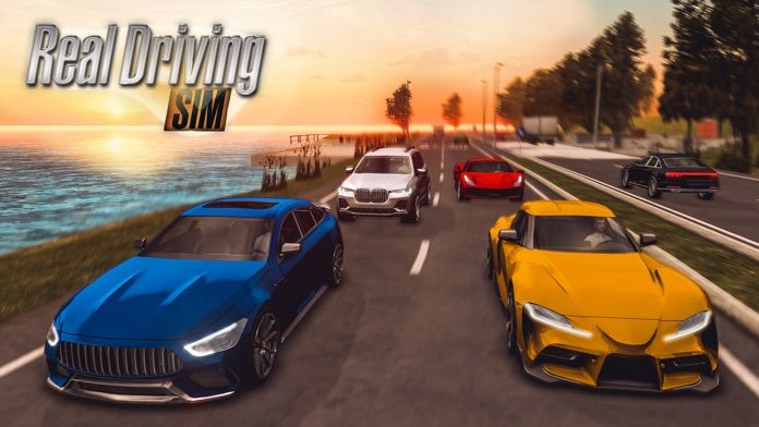 Real Driving Sim手游无广告版图1