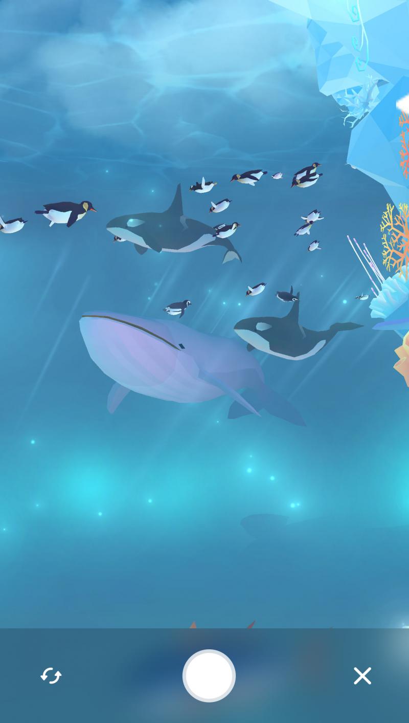 深海水族馆极地手游直装版图4