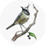 画个故事 V1.0.10